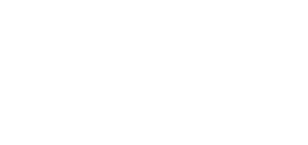 Camelio Group